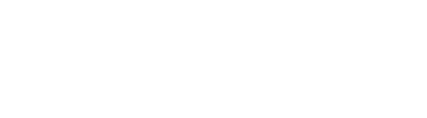 seppel-partner-logo copy2